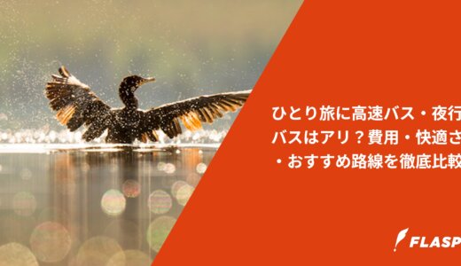 ひとり旅に高速バス・夜行バスはアリ？費用・快適さ・おすすめ路線を徹底比較