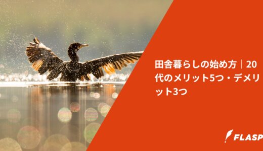 田舎暮らしの始め方｜20代のメリット5つ・デメリット3つ