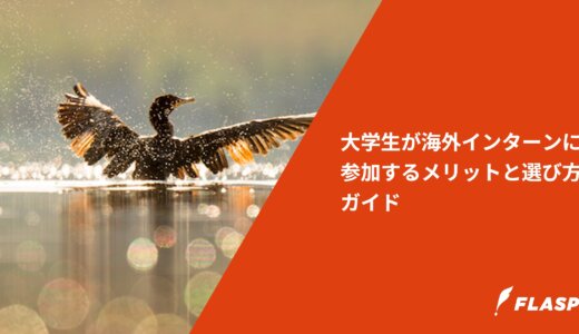大学生が海外インターンに参加するメリットと選び方ガイド