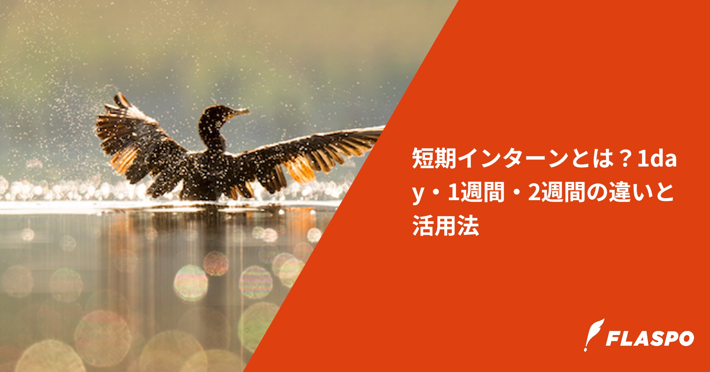 短期インターンとは？1day・1週間・2週間の違いと活用法