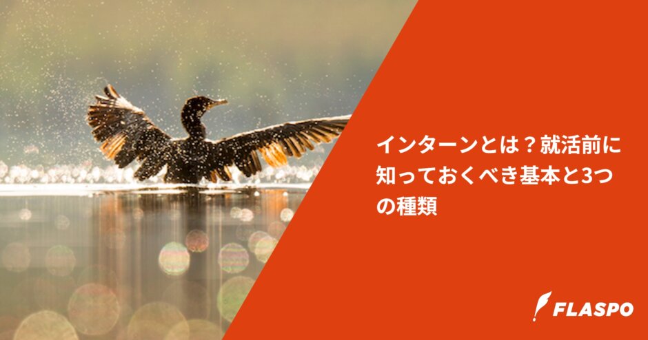 インターンとは？就活前に知っておくべき基本と3つの種類