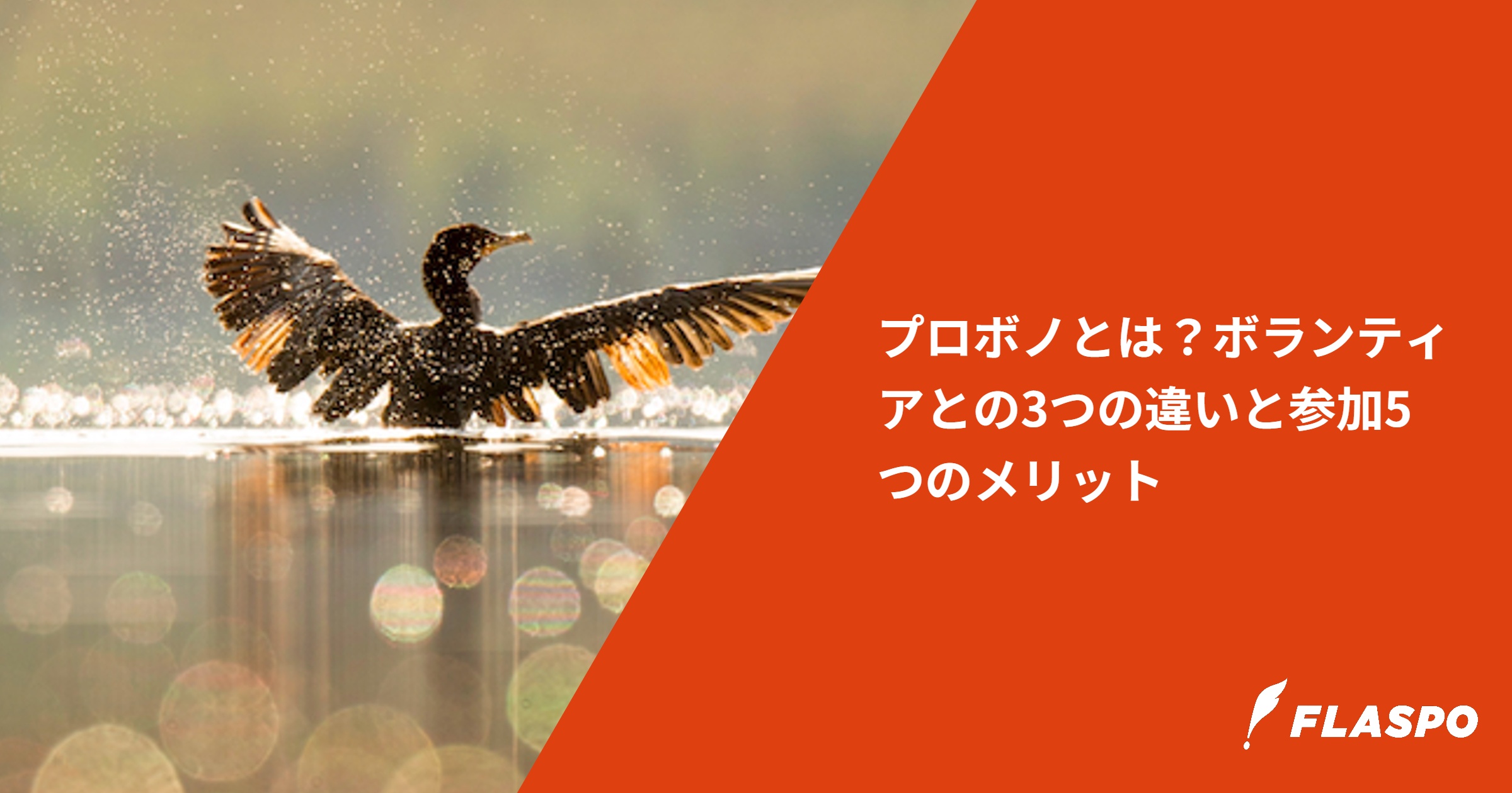 プロボノとは？ボランティアとの3つの違いと参加5つのメリット