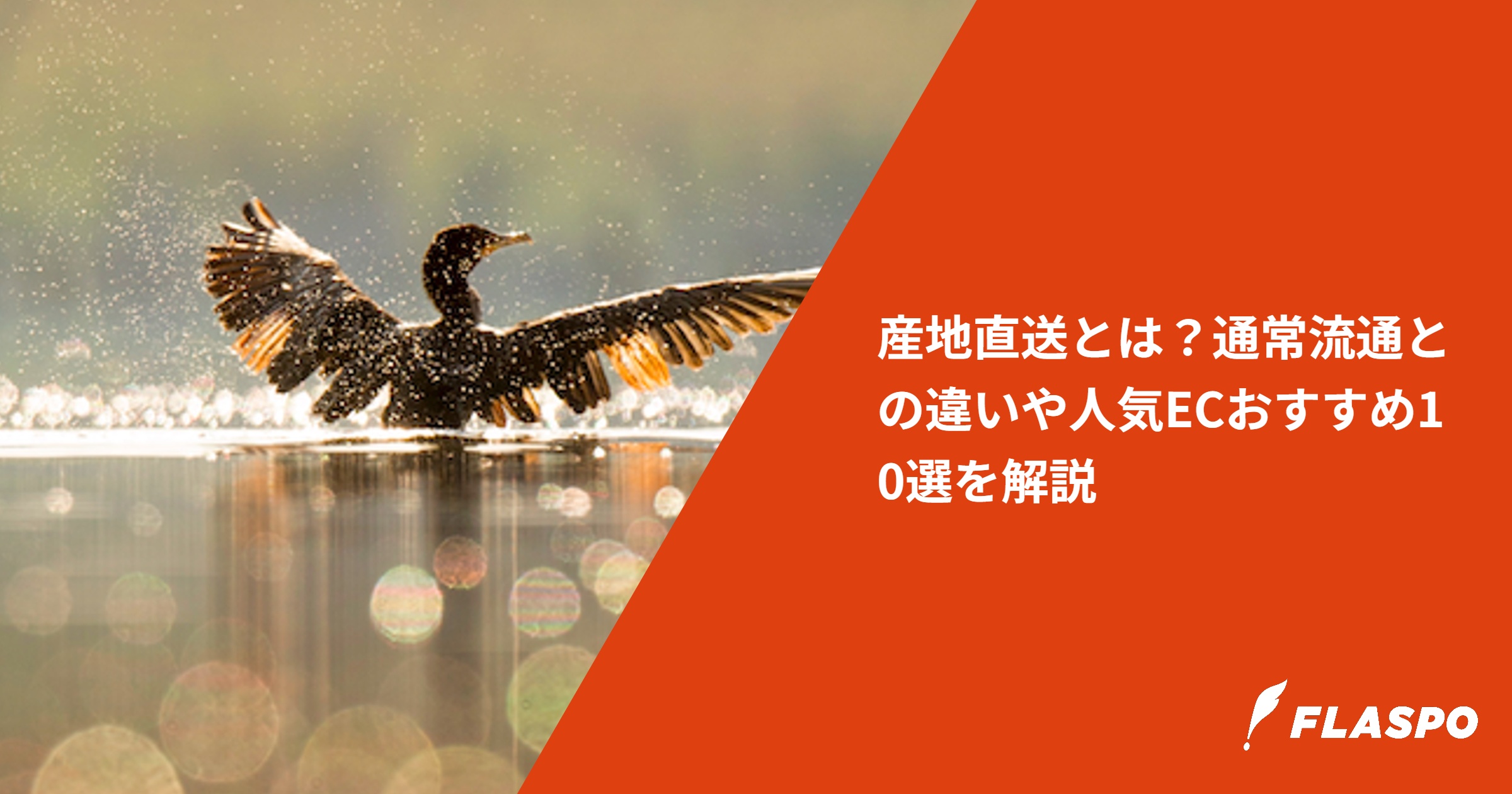 産地直送とは？通常流通との違いや人気ECおすすめ10選を解説