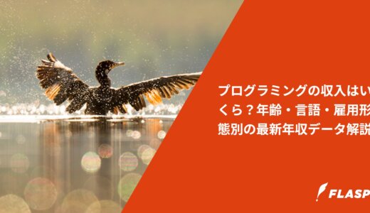 プログラミングの収入はいくら？年齢・言語・雇用形態別の最新年収データ解説