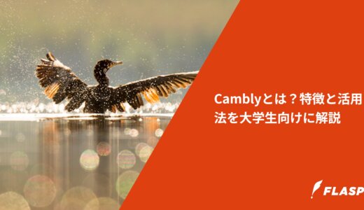 Camblyとは？特徴と活用法を大学生向けに解説