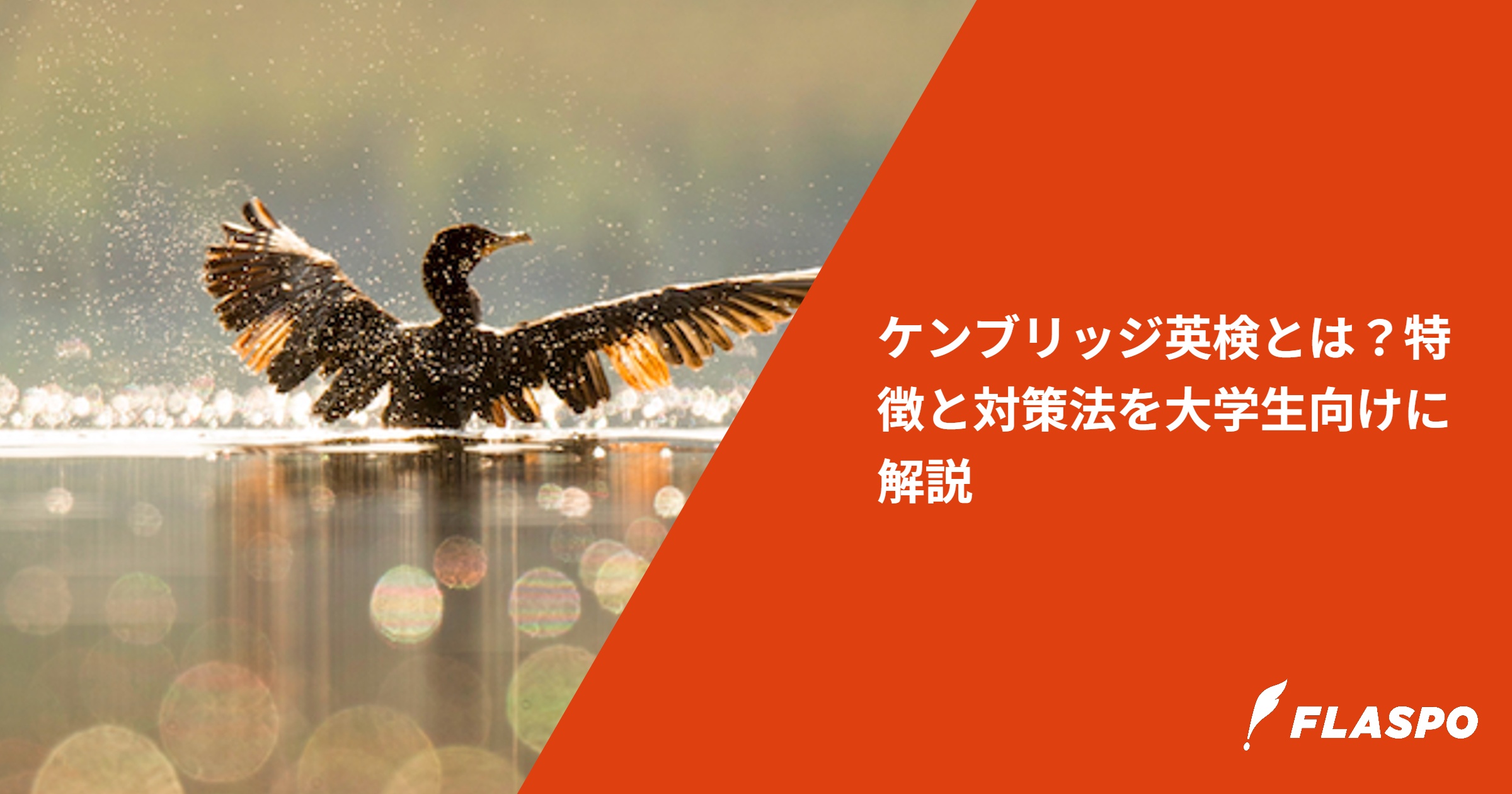 ケンブリッジ英検とは？特徴と対策法を大学生向けに解説