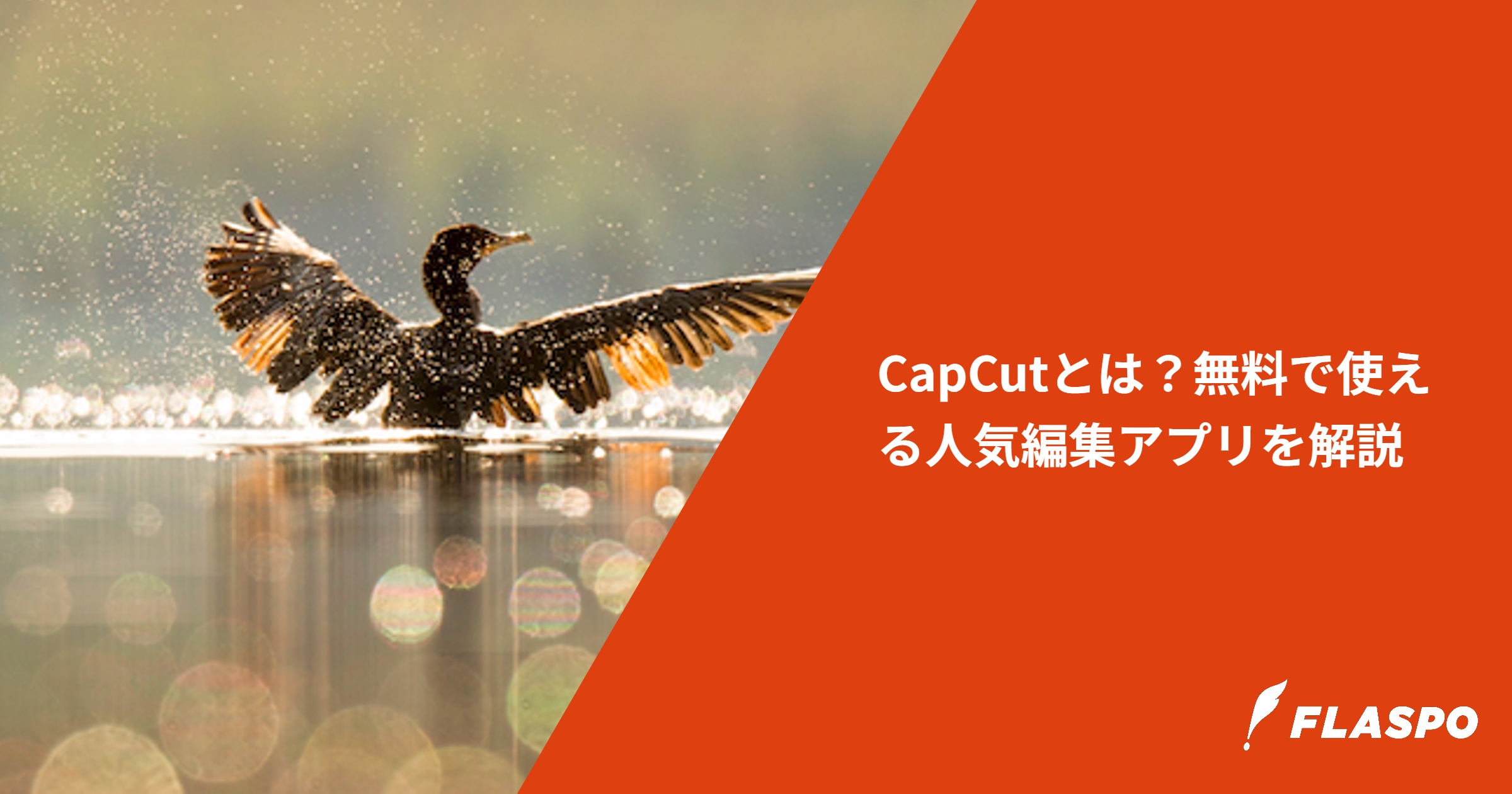 CapCutとは？無料で使える人気編集アプリを解説