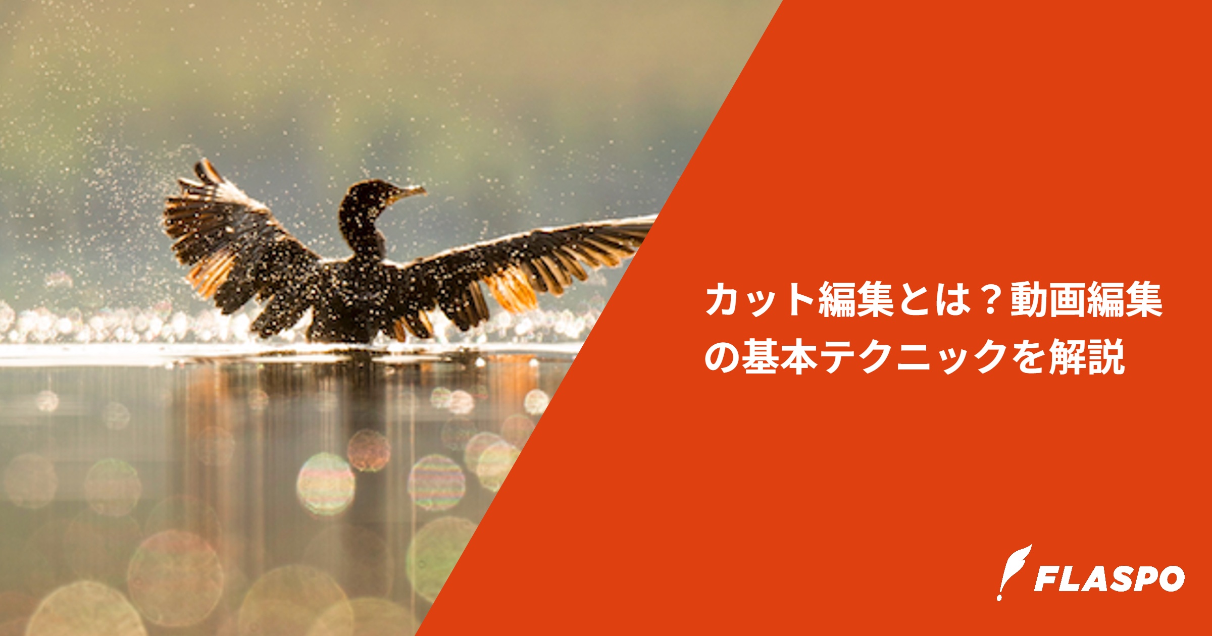 カット編集とは？動画編集の基本テクニックを解説