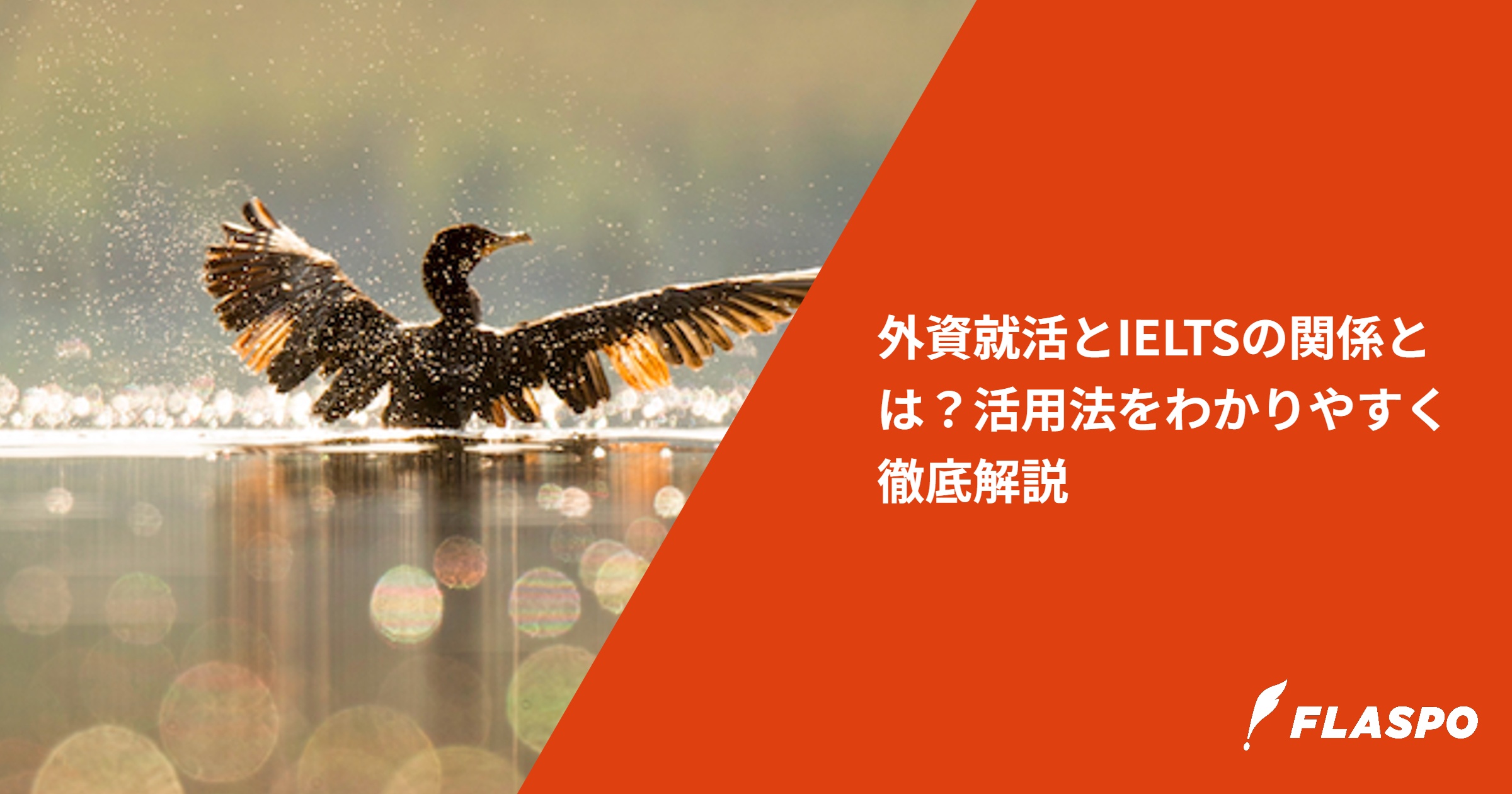 外資就活とIELTSの関係とは？活用法をわかりやすく徹底解説