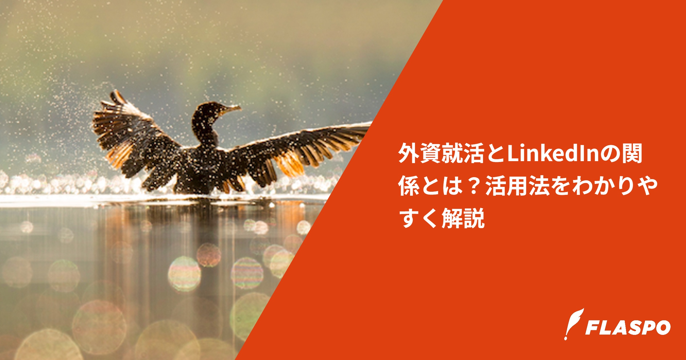 外資就活とLinkedInの関係とは？活用法をわかりやすく解説