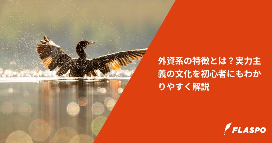 外資系の特徴とは？実力主義の文化を初心者にもわかりやすく解説