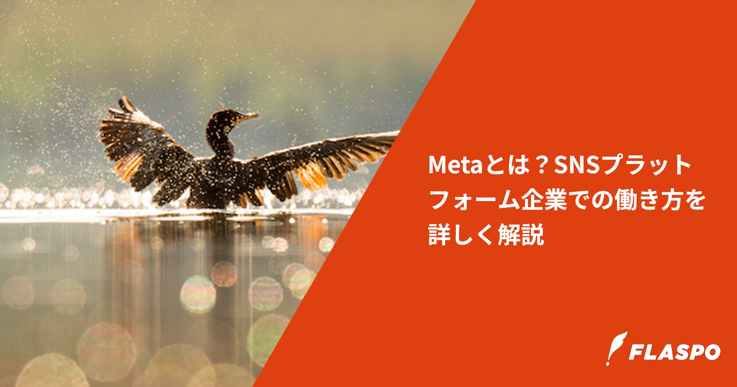 Metaとは？SNSプラットフォーム企業での働き方を詳しく解説