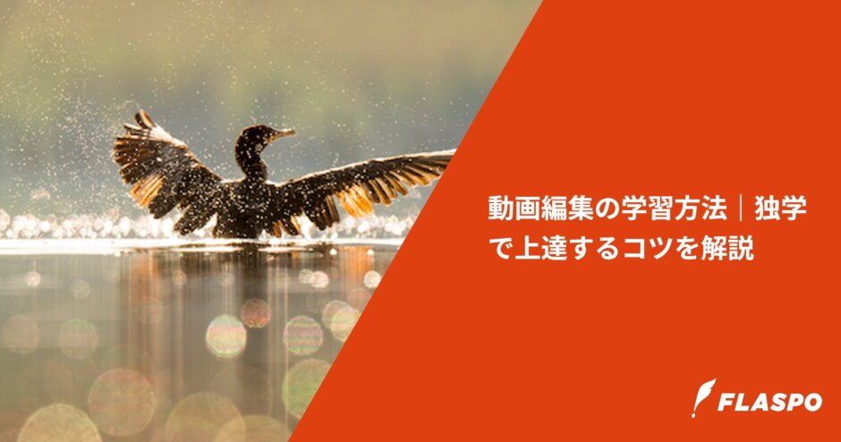 動画編集の学習方法｜独学で上達するコツを解説