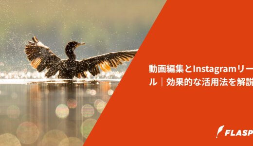 動画編集とInstagramリール｜効果的な活用法を解説