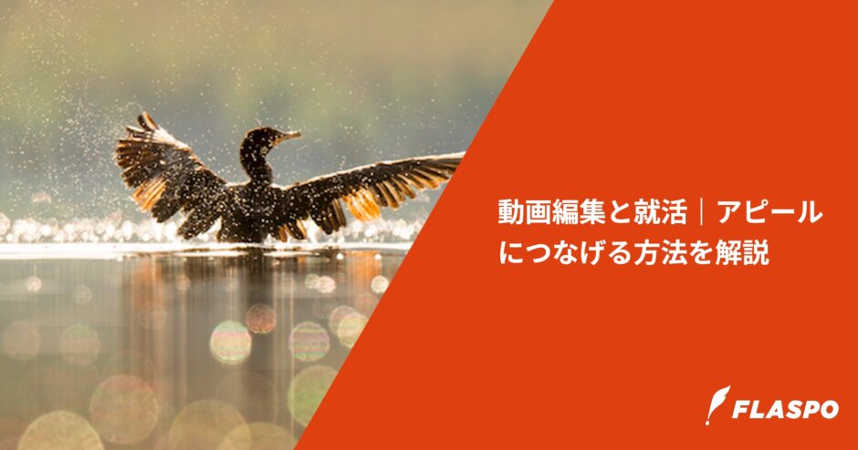 動画編集と就活｜アピールにつなげる方法を解説