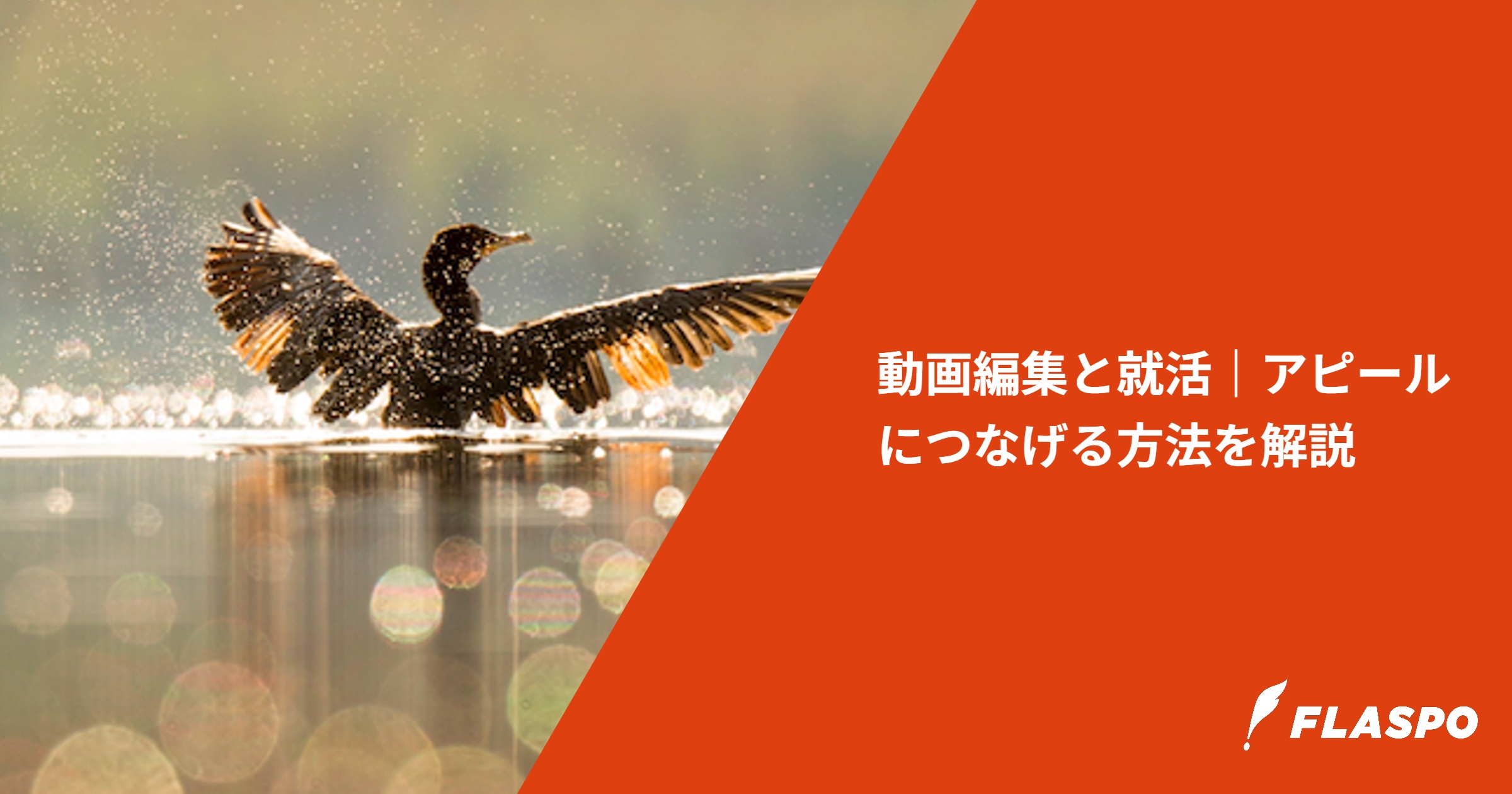 動画編集と就活｜アピールにつなげる方法を解説