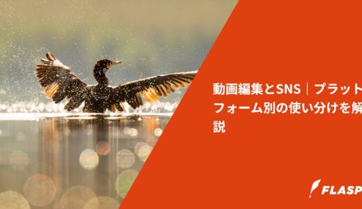 動画編集とSNS｜プラットフォーム別の使い分けを解説