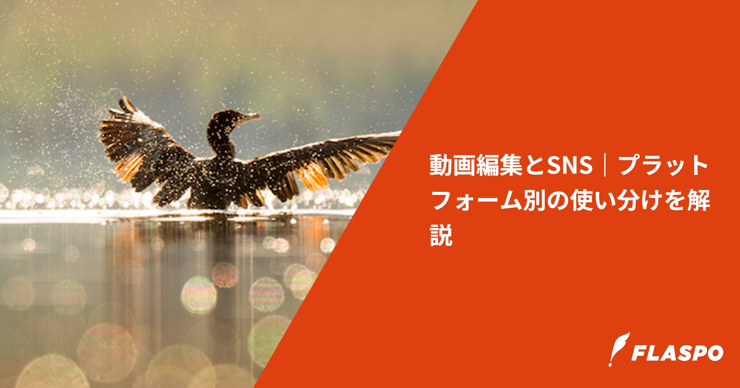 動画編集とSNS｜プラットフォーム別の使い分けを解説