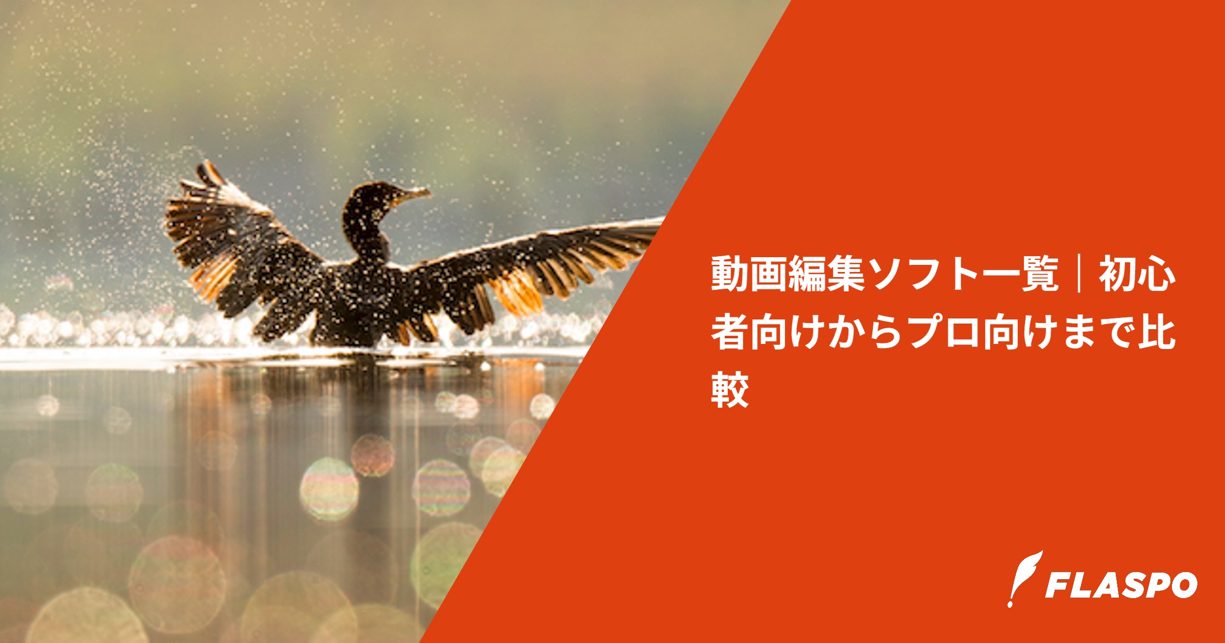 動画編集ソフト一覧｜初心者向けからプロ向けまで比較
