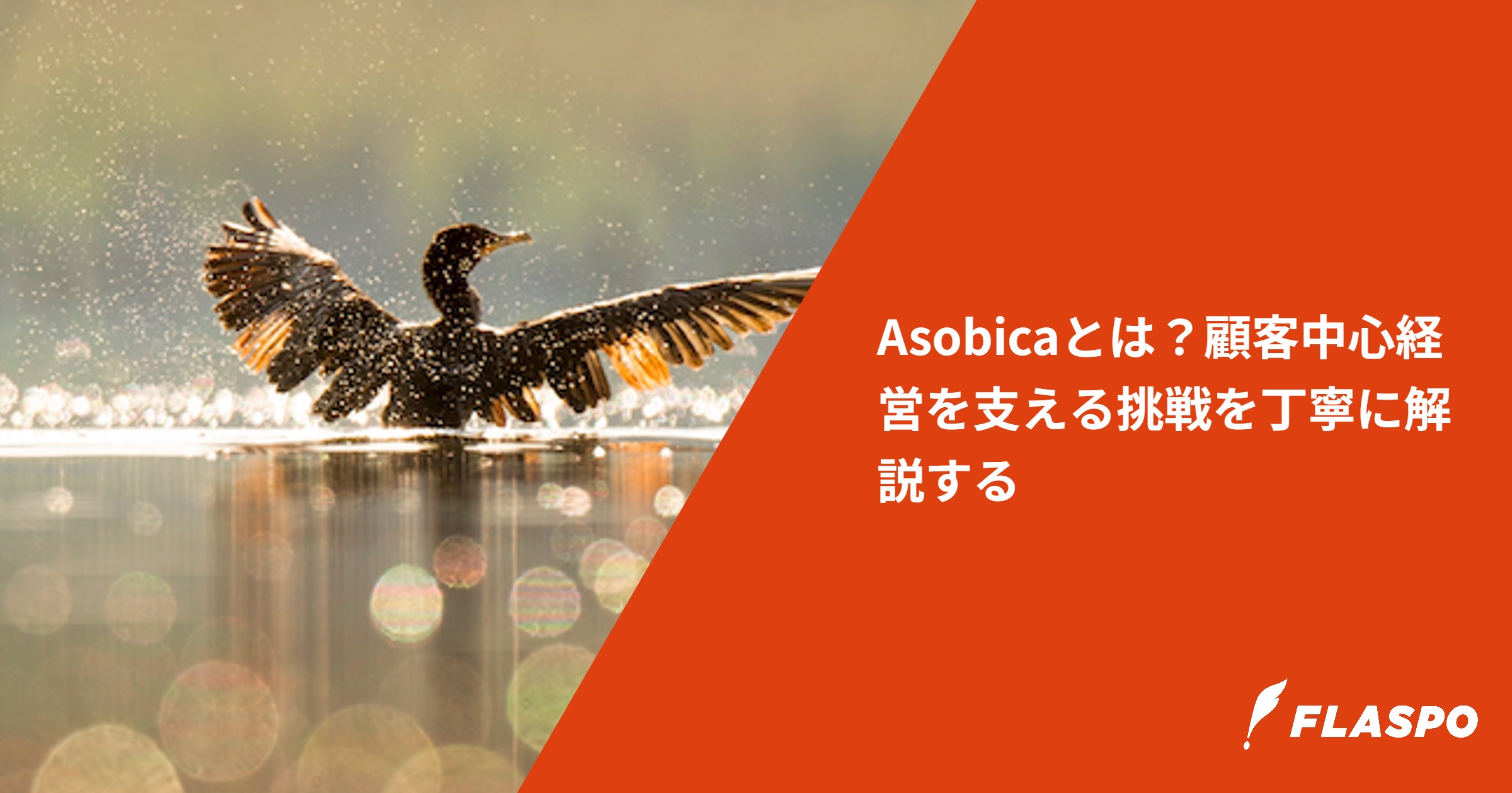 Asobicaとは？顧客中心経営を支える挑戦を丁寧に解説する