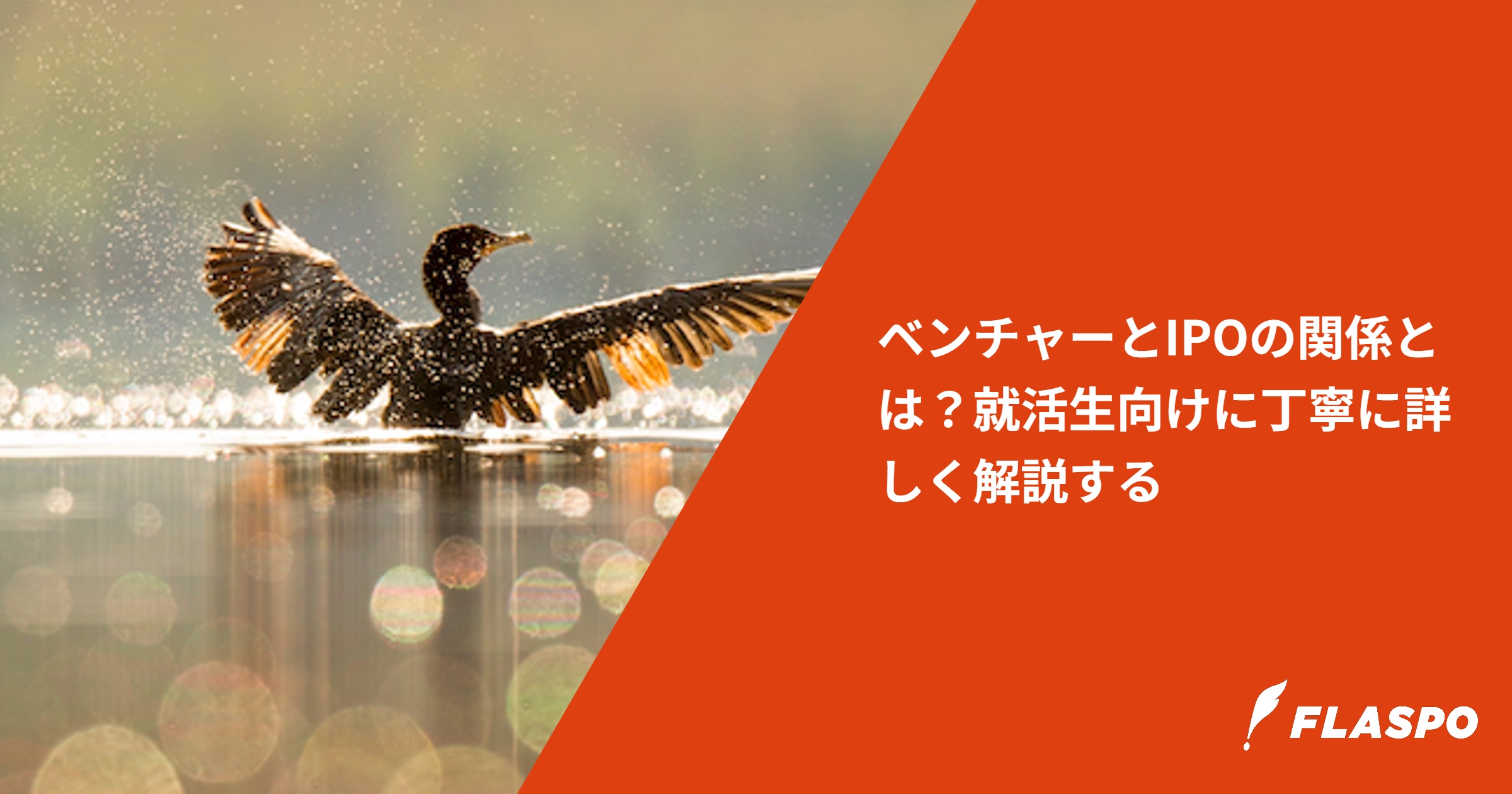 ベンチャーとIPOの関係とは？就活生向けに丁寧に詳しく解説する