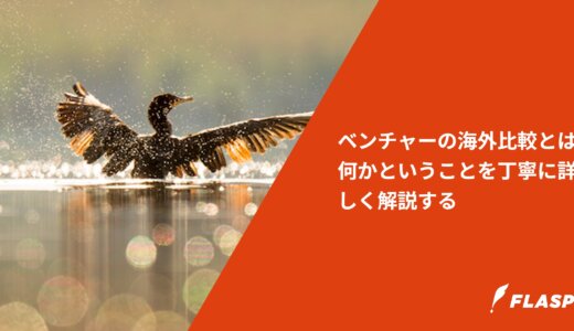 ベンチャーの海外比較とは何かということを丁寧に詳しく解説する