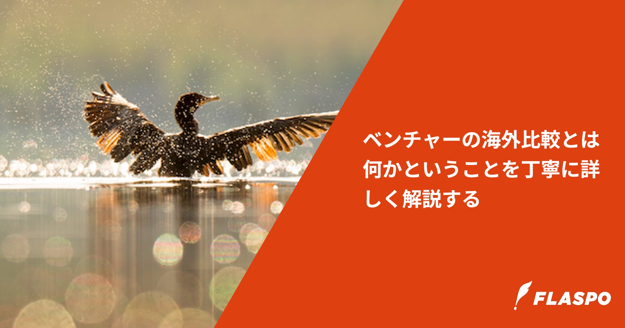 ベンチャーの海外比較とは何かということを丁寧に詳しく解説する