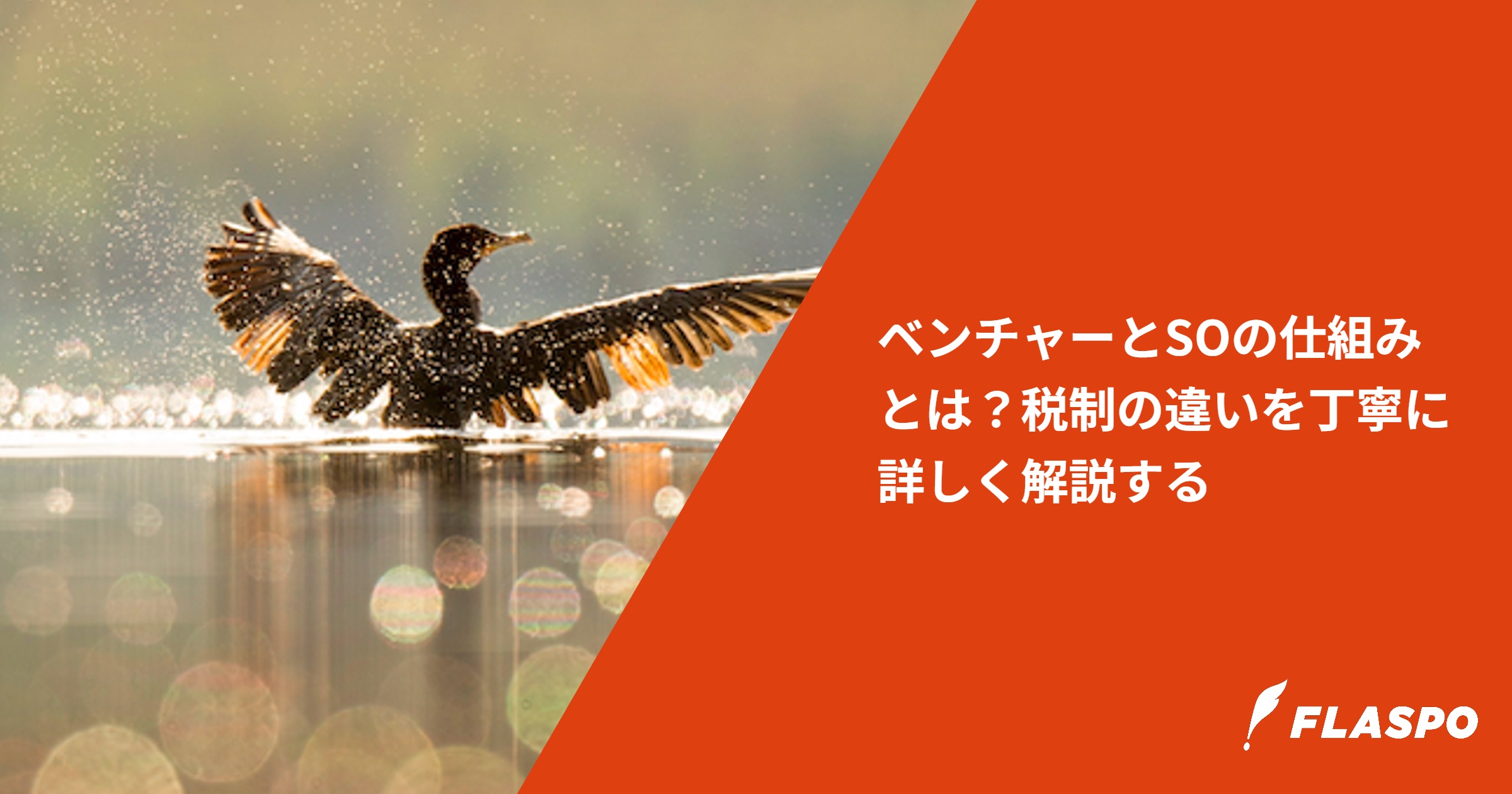 ベンチャーとSOの仕組みとは？税制の違いを丁寧に詳しく解説する