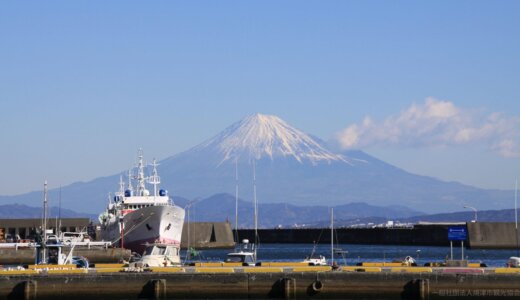 CASE13 | 若者のアイデア事業化：静岡県焼津市 企業DXチャレンジプログラム（進行中）