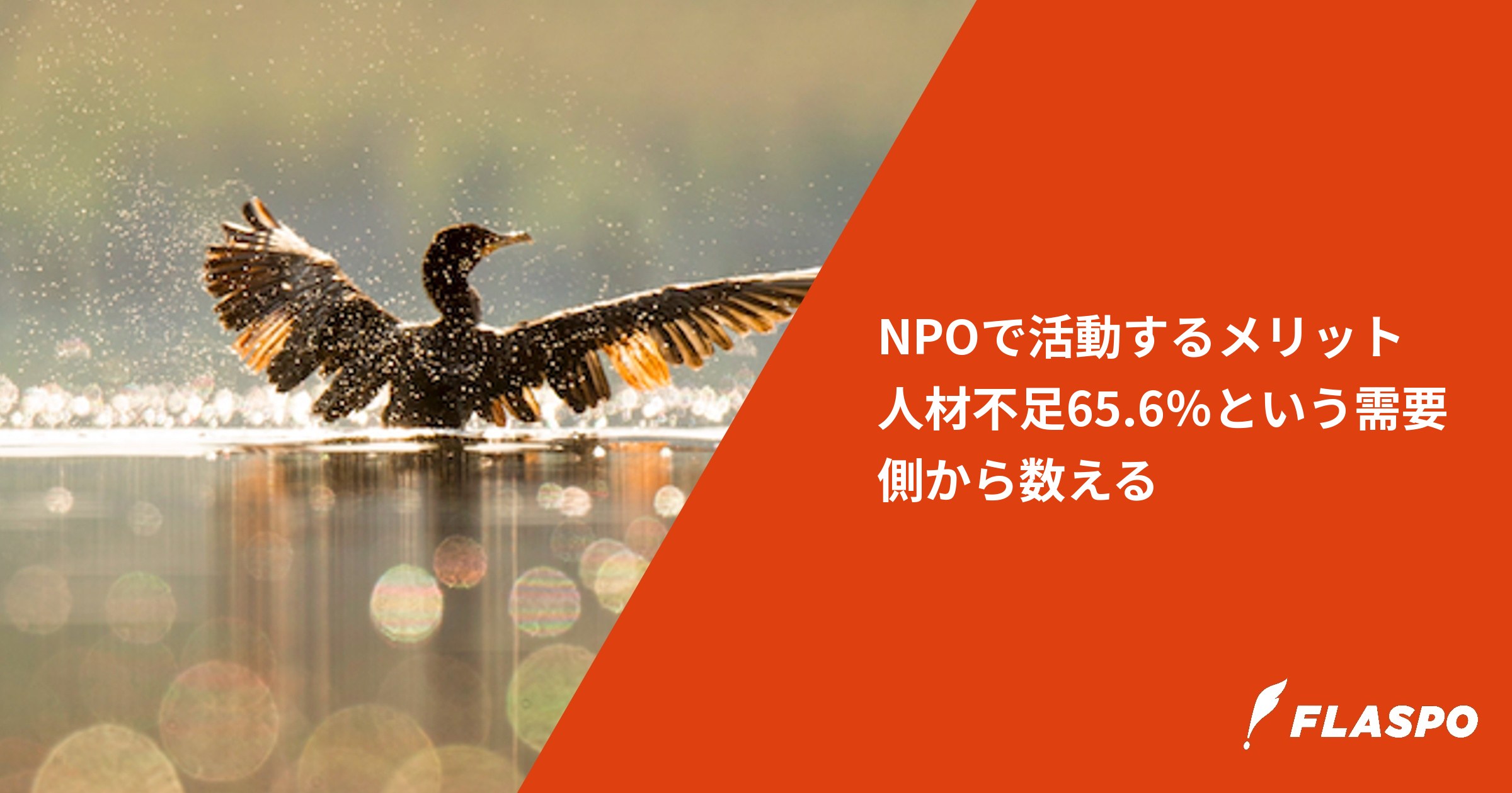 NPOで活動するメリット｜人材不足65.6％という需要側から数える