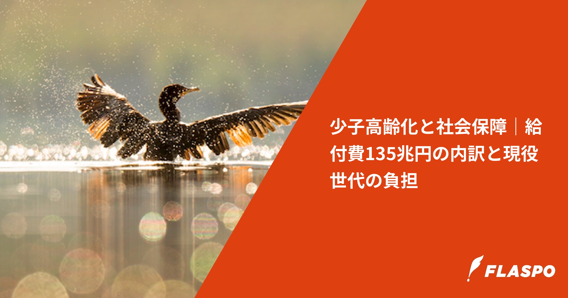 少子高齢化と社会保障｜給付費135兆円の内訳と現役世代の負担