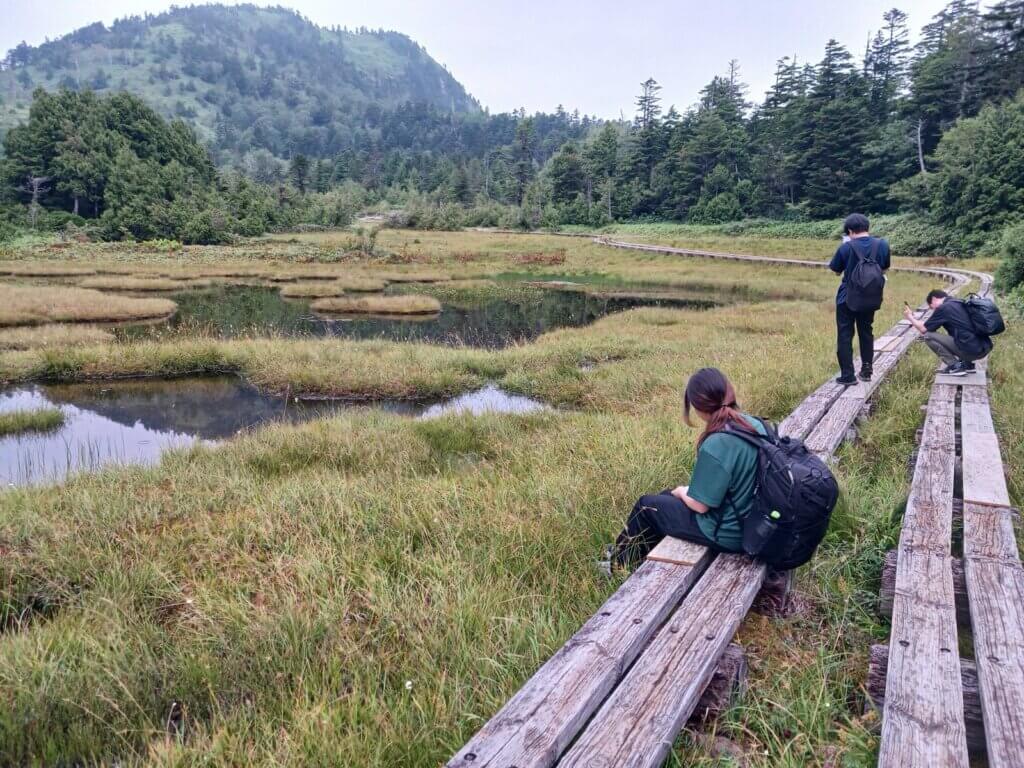志賀高原の湿原の木道を歩いて視察する学生たち