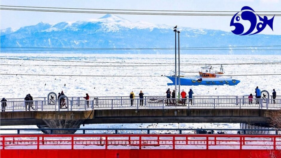 【募集中】北海道・羅臼町の「知床・らうす未来創造図」へ若者目線の企画を｜上位3名は2泊3日で羅臼町へ（〜11月8日）