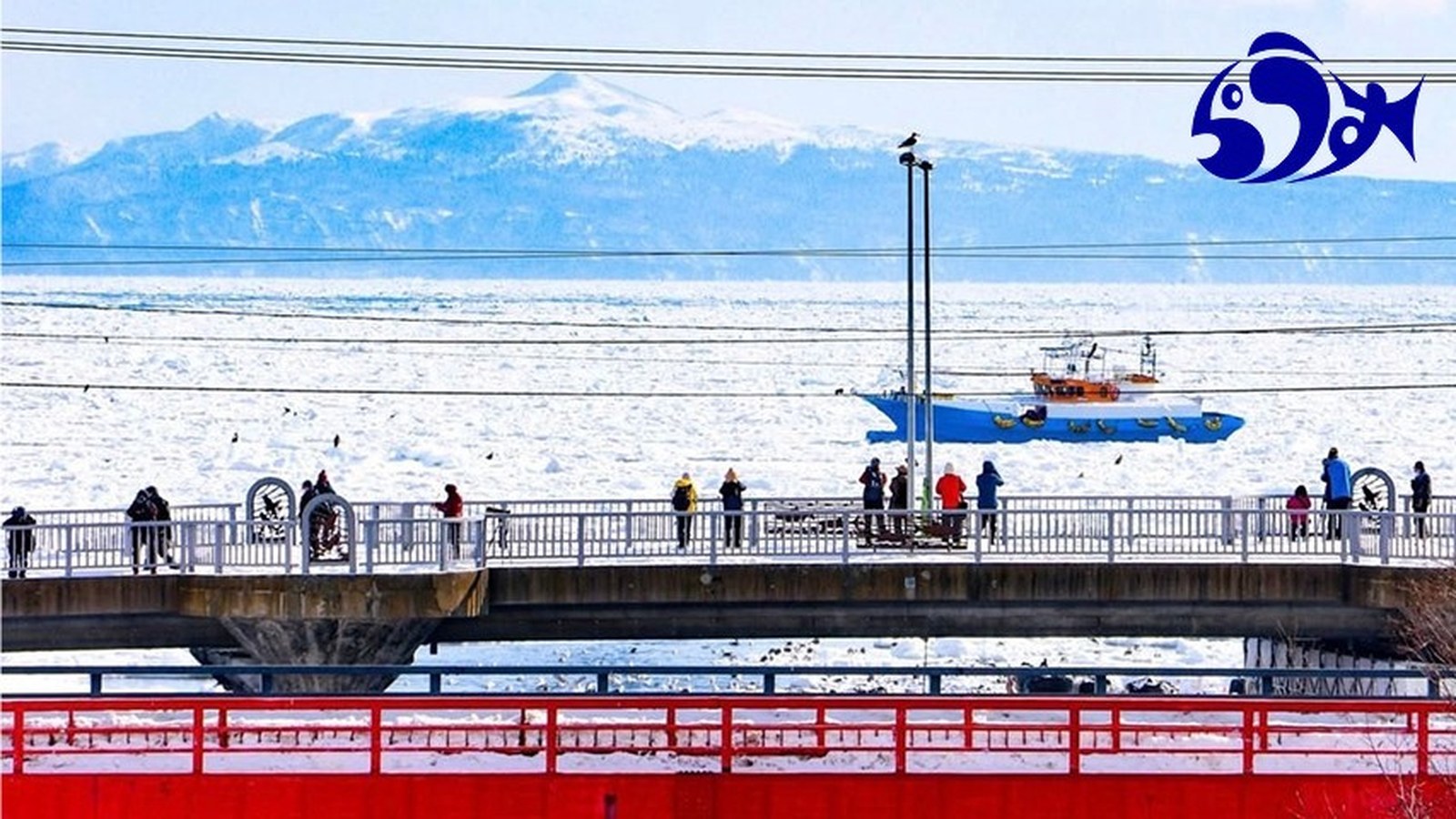 流氷に覆われた羅臼の海と橋の景色